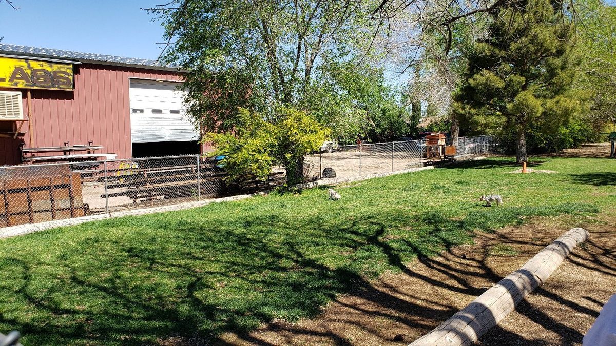 Lewis Kingman Park