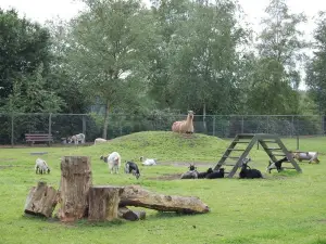 Griendtsveenpark