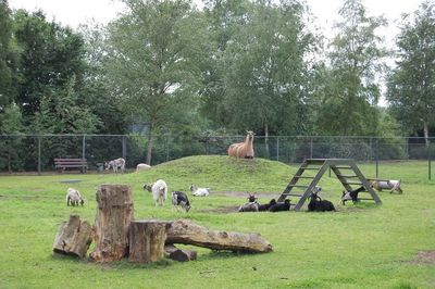Griendtsveenpark
