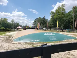 Buford Corn Maze