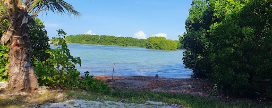 Mangrove Lake