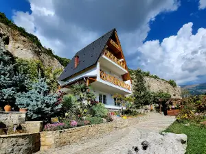 Dibra Park