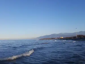Radio Darya Beach