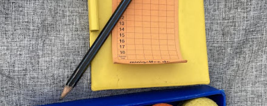 Minigolf Harrislee Wassersleben e.V.