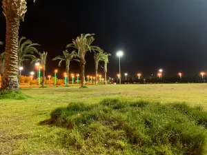 حديقة الملك عبدالعزيز.Garden Abdulaziz