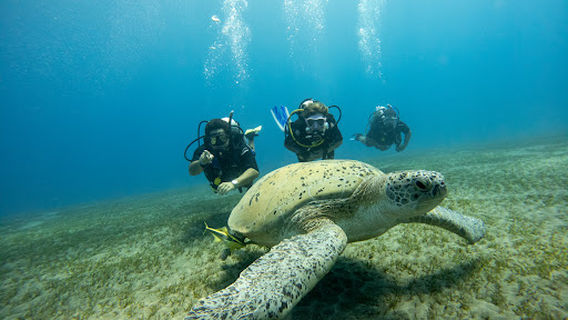VIVASUB diving center - Sataya resort