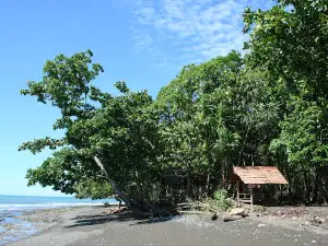 Ungkea Beach