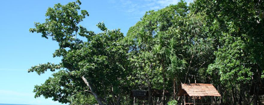 Ungkea Beach