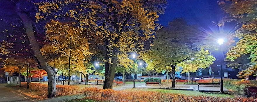 Park Saski