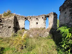 Sydoriv Castle
