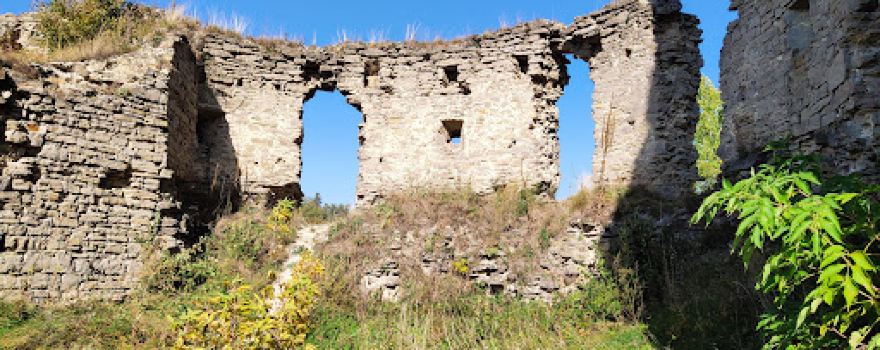 Sydoriv Castle