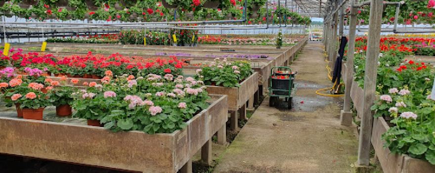 Les Jardins de Sologne