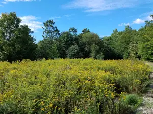 Great Pond Mountain Wildlands, Dead River Trailhead