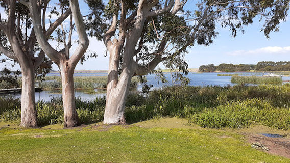 Camperdown