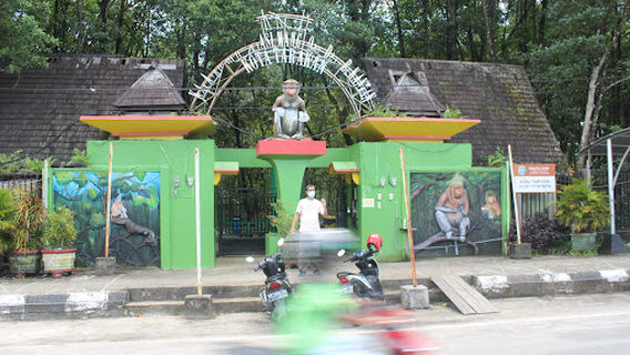 Kawasan Konservasi Mangrove Dan Bekantan