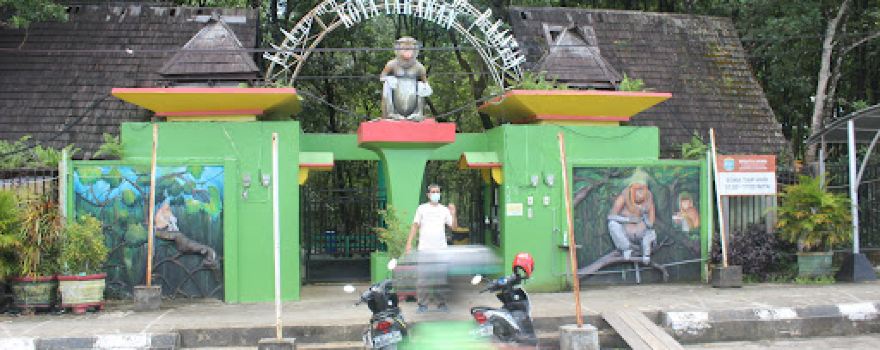 Kawasan Konservasi Mangrove Dan Bekantan