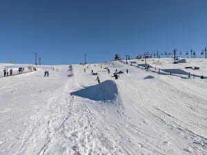 Mt. Brighton Ski Resort