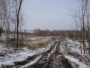 Хингано архаринский государственный природный заповедник