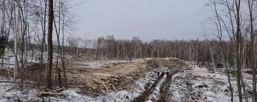 Хингано архаринский государственный природный заповедник
