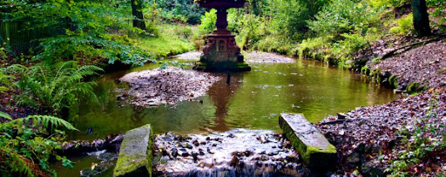 Whitehall Park