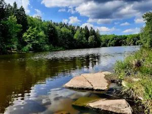 Klåverödsdammen