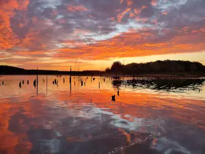 Bucksaw Resort & Marina