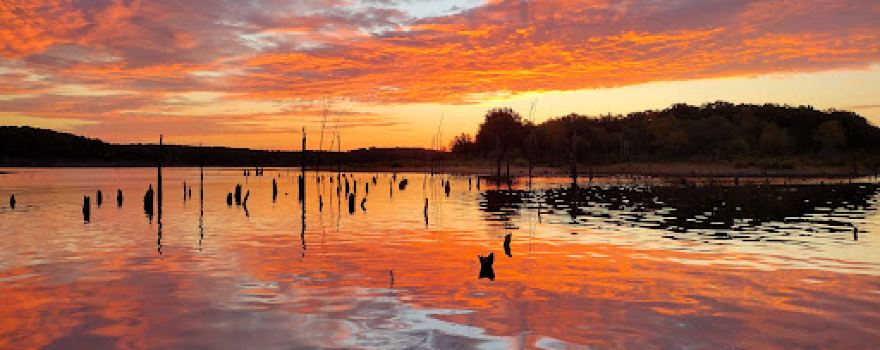 Bucksaw Resort & Marina