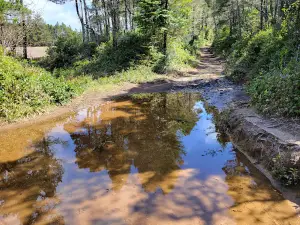 Floras Lake State Natural Area