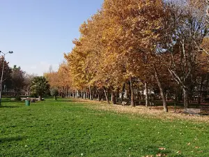Ras El Ein Park