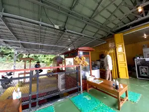 Lereng Cibolang Lebak