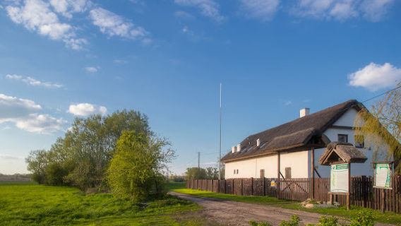 Mogilno County