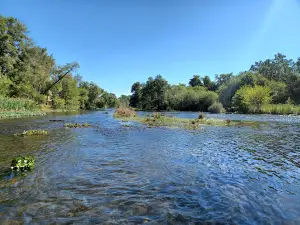 Mokelumne River Day Use Area