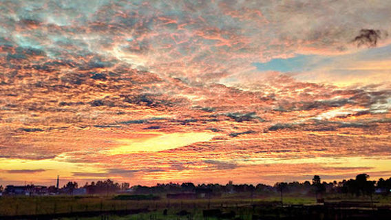 아마르 샤히드 세티아반 싱 스포츠 스타디움