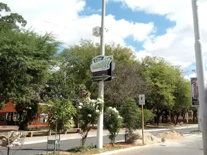CINE GARDEN 7