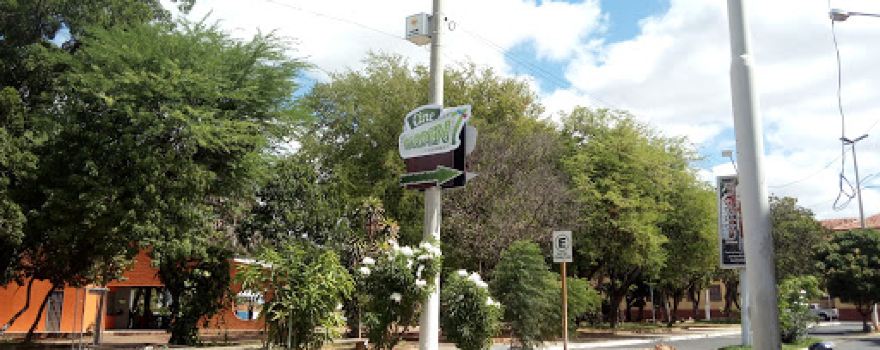 CINE GARDEN 7