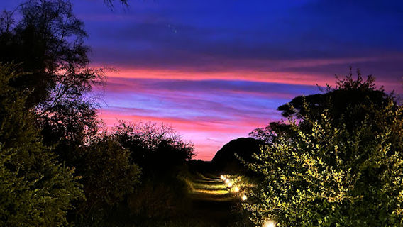Kilimanjaro Balloon Safaris