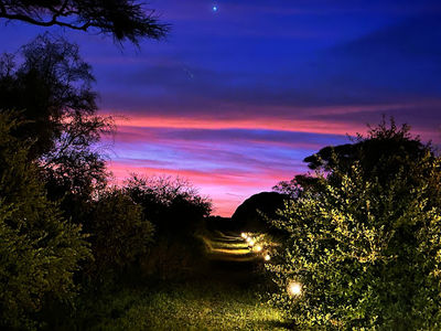 Kilimanjaro Balloon Safaris
