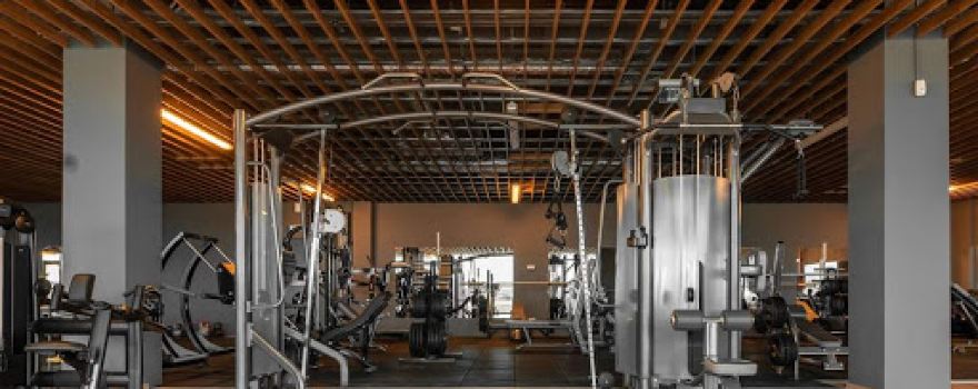 Arena GYM