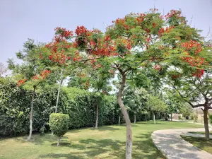 Hans Raj Trust Park