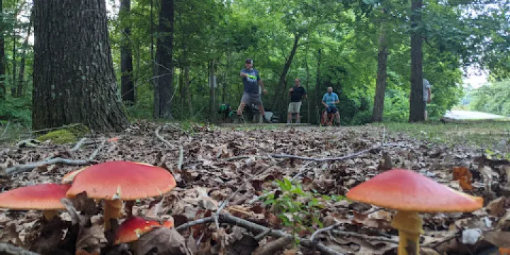 The Sinks: Chattanooga's best disc golf course