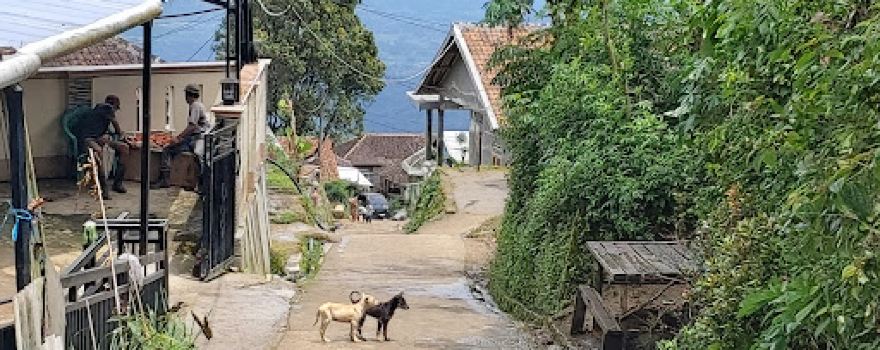 Pendakian Gunung Karang