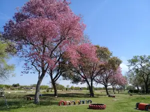 Área De Descanso "LA ROTONDA"