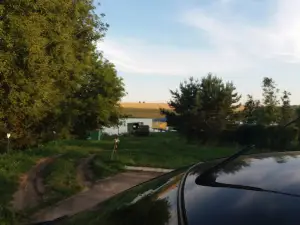 3 Carp