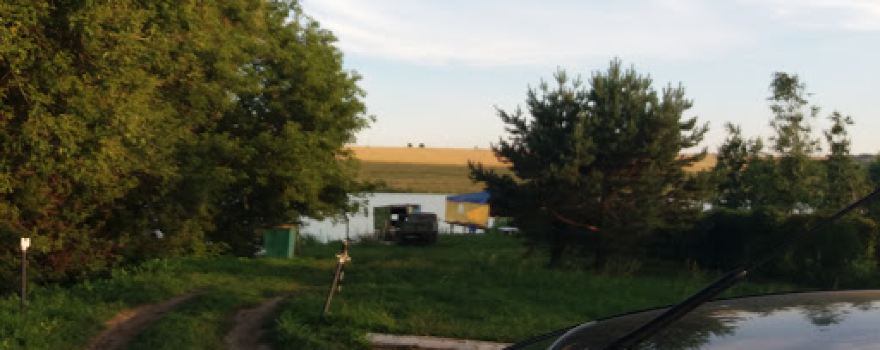 3 Carp