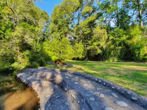Camping Estero Cobulto Ltda