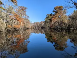 Choctawhatchee and Holmes Creek Water Management Area