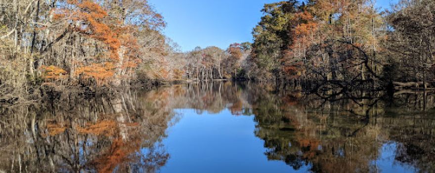 Choctawhatchee and Holmes Creek Water Management Area