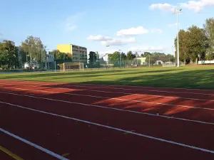 Orlik
