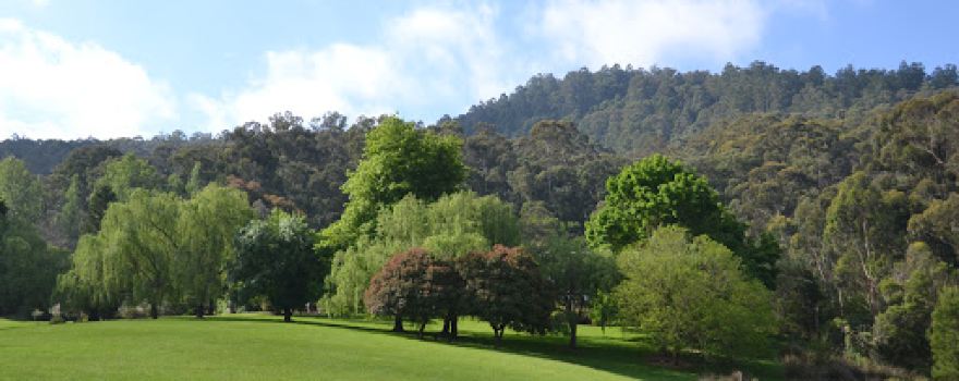 Jumbunna Lodge