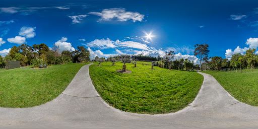 Highfield Gardens Reserve